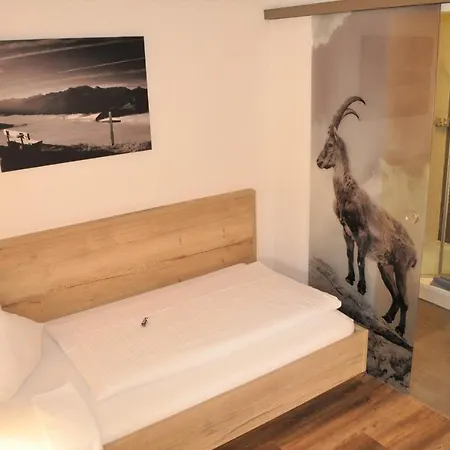 Der Malerwinkl - Alpenhotel Hotel 3*