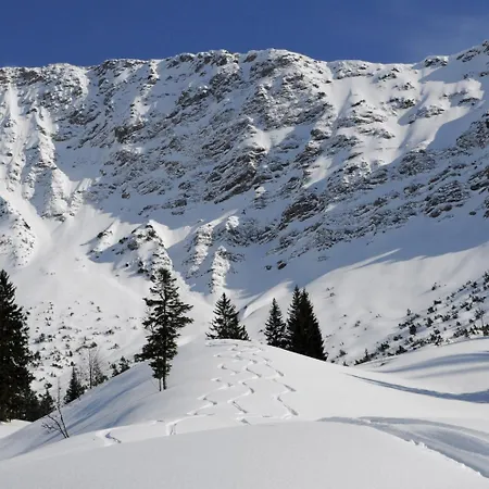 Der Malerwinkl - Alpenhotel 3*