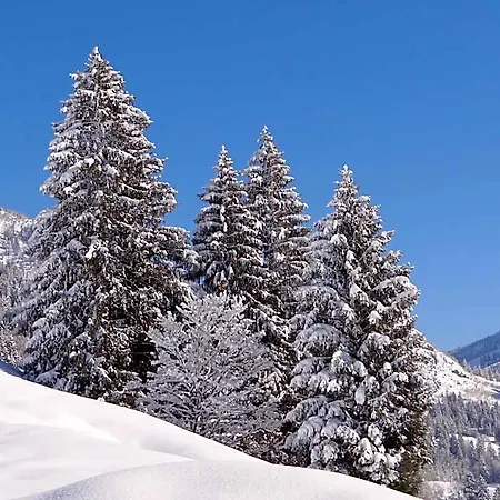 Ξενοδοχείο Der Malerwinkl - Alpenhotel 3*