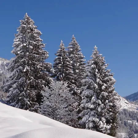 Der Malerwinkl - Alpenhotel Bad Hindelang