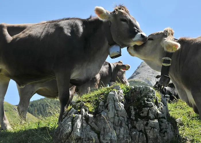 Garni Malerwinkl Hotel 3*